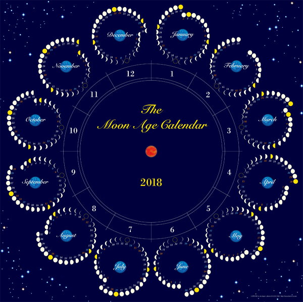 楽天ブックス 月のカレンダー The Moon Age Calendar 2018 9784908342554 本