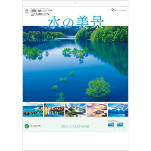 g[_ 2026N J_[ Ǌ| ̔ii2~Vړj 60.8 x 42.5cm TD-704 / EiEό