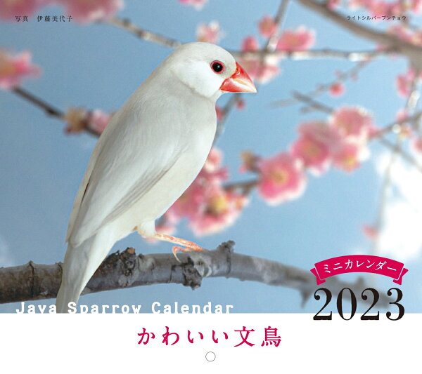 楽天ブックス: 2023年カレンダー かわいい文鳥 - 伊藤 美代子 - 9784416922590 : 本