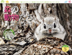 カレンダー2026 太田達也セレクション 森の動物たち Tiny Story in the Forests（月めくり/壁掛け/北海道） （［カレンダー］）