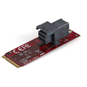 U.2(SFF-8643) - M.2 PCI Express 3.0 x4 zXgA_v^J[h 2.5C` U.2 NVMe SSDΉ