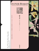 蘭花百姿　東京大学植物画コレクションより