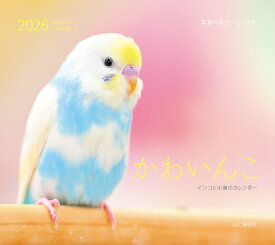 カレンダー2026 かわいんこ インコと小鳥のカレンダー（月めくり/壁掛け/鳥） （［カレンダー］）