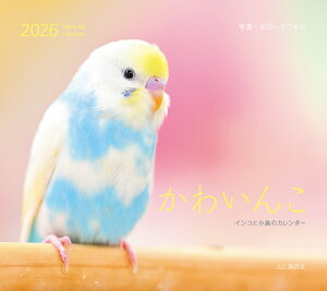 J_[2026 킢 CRƏ̃J_[i߂/Ǌ|/j imJ_[nj