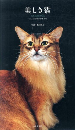 【壁掛】美しき猫 Cats in the Blackカレンダー(2017)