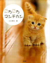 楽天ブックス ころころマンチカン 小川晃代 本