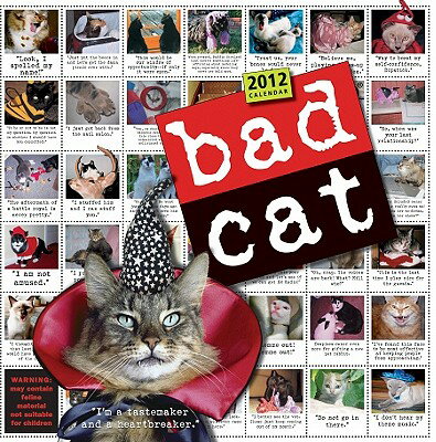 楽天ブックス: Bad Cat Calendar - Workman Publishing - 9780761162629 : 洋書