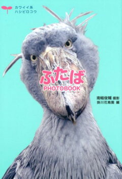 楽天ブックス ハシビロコウのすべて 改訂版 今泉忠明 本