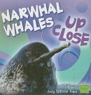 Narwhal Whales Up Close