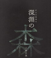 深淵の森 伊豆天城連山 [ 土屋正英 ]
