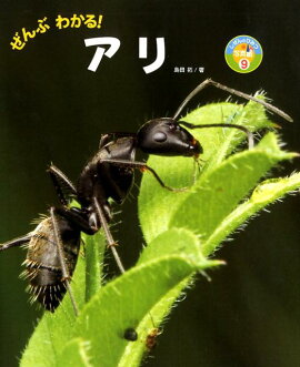 楽天ブックス アリとくらすむし 島田拓 本