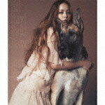 Sit! Stay! Wait! Down!/Love Story