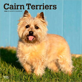 ケアーン・テリア 2026年 カレンダー / ブラウントラウト 輸入版 壁掛け 30.5 x 61 cm (Cairn Terriers Calendar)