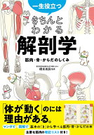 一生役立つ　 きちんとわかる解剖学　筋肉・骨・からだのしくみ [ 橋本尚詞 ]