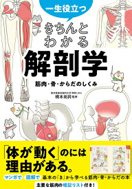 一生役立つ　 きちんとわかる解剖学　筋肉・骨・からだのしくみ [ 橋本尚詞 ]