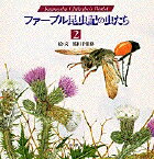 �ե����֥뺫��������2��