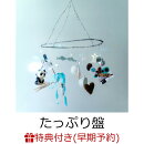 【楽天ブックス限定先着特典+早期予約特典】日々散漫【たっぷり盤 2CD＋Blu-ray】(初回生産限定盤)(アクリルキーホルダー+カセットテープ)