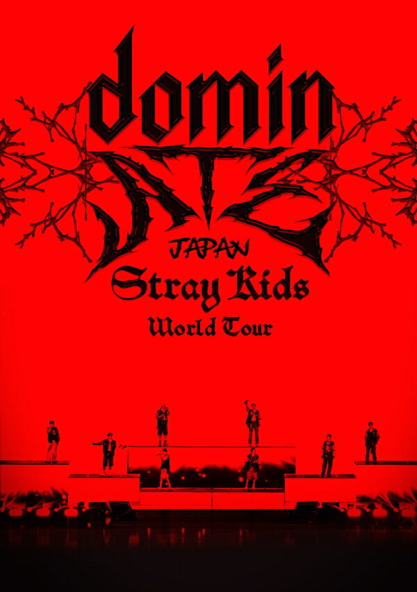 楽天ブックス: Stray Kids World Tour ＜dominATE JAPAN＞(通常盤 