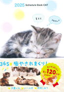 2025 Schedule Book CAT