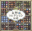 自然のコレクション図鑑