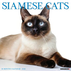Siamese Cats 2026 Wall Calendar SIAMESE CATS 2026 WALL CAL [ Willow Creek Press ]