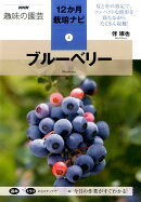 ブルーベリー