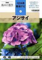 アジサイ （NHK趣味の園芸12か月栽培ナビ） [ 川原田邦彦 ]