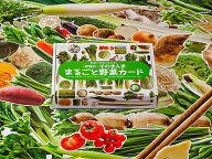 実物大・そのまんま まるごと野菜カード （群羊社のたのしい食育教材シリーズ） [ 足立己幸 ]
