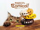 ͽۥ2026 MARCO's CAT CALENDAR Comical ! ݸǭƥʷ᤯/ɳݤ