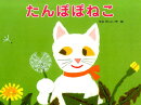 たんぽぽねこ