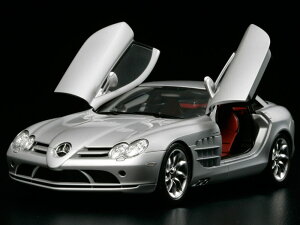 1/24X|[cJ[V[Y 1/24 ZfXExc SLR }N[ y24290z (vf)