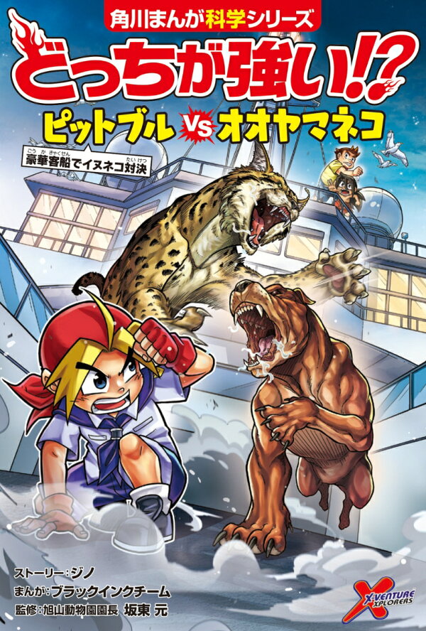 楽天ブックス: どっちが強い!? ピットブルvsオオヤマネコ 豪華客船でイヌネコ対決 - ジノ - 9784041122914 : 本