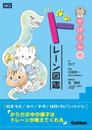 かげさんのドレーン図鑑