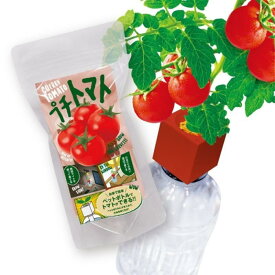 楽天市場 プチトマト 本 雑誌 コミック の通販