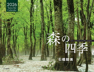 J_[2026 X̎lGi߂/Ǌ|/i {j imJ_[nj