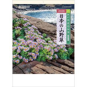 g[_ 2026N J_[ Ǌ| {̎R쑐 53.5 x 38cm TD-818 / ԁEA