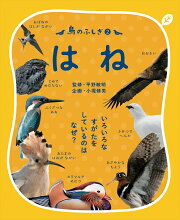 楽天ブックス: 鳥の形態図鑑 - 赤勘兵衛 - 9784039711502 : 本