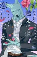 キミと越えて恋になる 12 （マーガレットコミックス） [ 柚樹 ちひろ ]