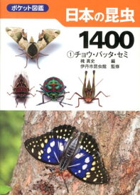 日本の昆虫1400（1） ポケット図鑑 チョウ・バッタ・セミ [ 槐真史 ]