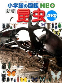 小学館の図鑑NEO〔新版〕 昆虫 DVDつき　DVDつき　（小学館の図鑑 NEO）