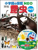 小学館の図鑑NEO〔新版〕 昆虫 DVDつき