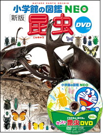 小学館の図鑑NEO〔新版〕 昆虫 DVDつき [ 小池 啓一 ]