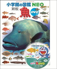 魚　新版　DVDつき　（小学館の図鑑NEO）