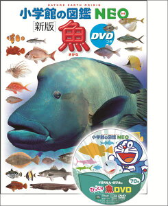魚 新版 DVDつき (小学館の図鑑NEO) [ 井田 齋 ]
