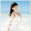 ラブラドール・レトリバー(Type4 通常盤 CD+DVD)