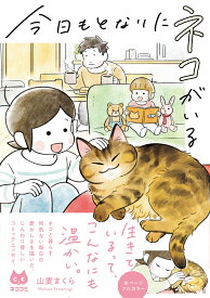 今日もとなりにネコがいる [ 山麦　まくら ]