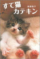 すて猫カテキン新装版
