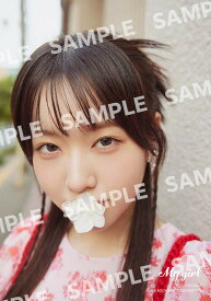 【楽天ブックス限定特典】My Girl vol.43(陽高真白 ブロマイド1枚（絵柄2種・ランダム封入・L判）)