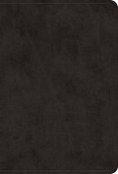 ESV Value Large Print Compact Bible (Trutone, Black) ESV VALUE LP COMPACT BIBLE (TR [ Esv Bibles ]