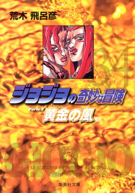 ジョジョの奇妙な冒険 34